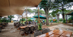 simba-saloon-3.jpg 3