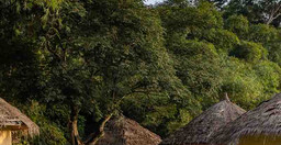 tai-forest-lodges-2pp1e9BEfh.jpg 1