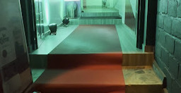 tayari-restaurant-1.jpg 1