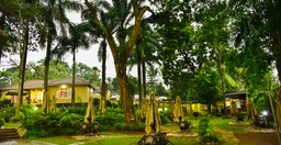 the-roots-restaurant-2.jpg 2