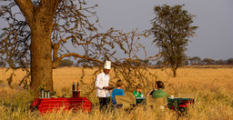 the-stargazers-dream-5-days-camping-safari-amckUXCX0N.jpeg 3