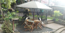 the_old_house-hvutd.jpg 1