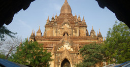 thorn-tree-1.jpg 2