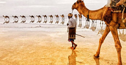 tour-organzior-tour-guid-we-provide-tours-group-tour-private-tours-solo-trip-adventure-tour-family-with-kids-trip-couples-trip-human-photography-expeditions-qyC6REMWWu.jpg 1