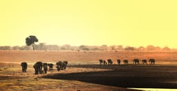 tsavo-east-and-west-safari-NNltD.jpg 3