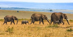 tsavo-east-and-west-safari-nF6Ei.jpg 2