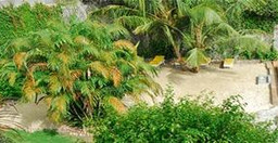 villa-ayaba-1.jpg 1