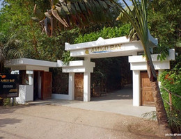 Amigo Bay