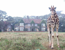 Giraffe manor