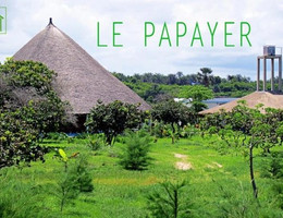 Le Papayer EcoLodge