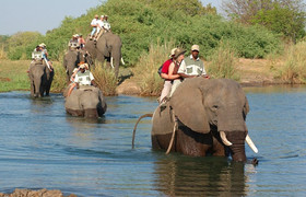 Experience an elephant ride safari - mukuni big 5