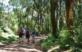 6 days mount kilimanjaro trekking via machame route