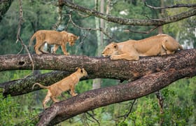 7 days best of tanzania by sassabi expeditions