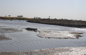 6 days tanzania private safari 