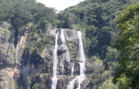 3Days 2Night Mikumi National Park and Udzungwa Mountain