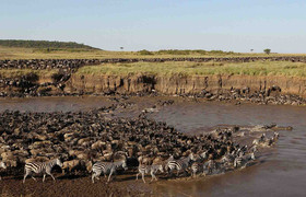 6 days great migration safari
