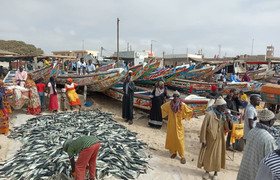 The best of senegal,8 days