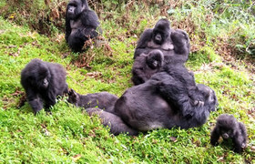 4 days safari rwanda