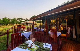 10 day tanzania private group safari