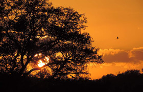 Ibubesi Full Kruger Tour