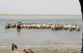 Bush and villages - a 8 day excursion around senegal out of dakar