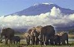 6 days masai mara, lake nakuru & amboseli national park