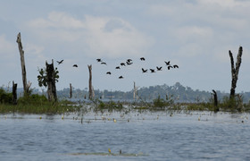 A la découverte du fleuve Sassandra avec AAEN-CI