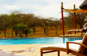 5 days tanzania luxury safari