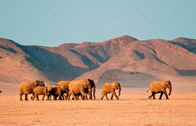 4 Days Damaraland & Skeleton Coast-Namibia(Lodging)