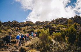 Umbwe route - 7 days-mount kilimanjaro national park