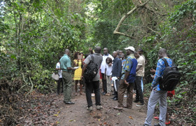 Excursions, randonnées et sorties nature sur mesure avec AAEN-CI