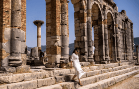 Full day trip to volubilis and meknes from fes