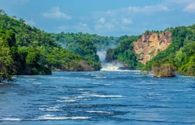 5 days ultimate uganda: big game & chimps safari experience