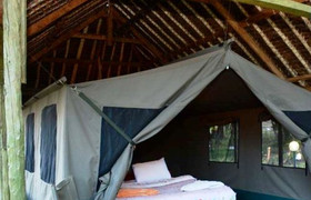 8 days 7 nights kenya safaris 