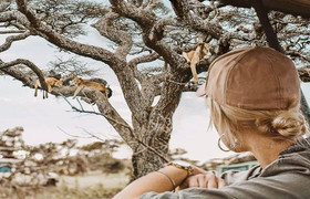 Day trip to lake manyara national park