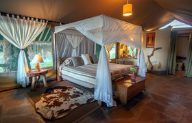 5- day amboseli/nakuru/maasai mara