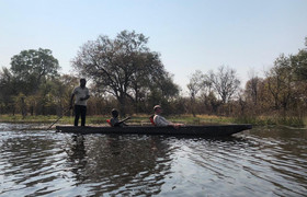 Day trip mokoro (canoe) in okavango delta, botswana