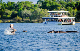 Zambezi river cruises 
