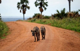 3-day murchison falls national park - adventure safari