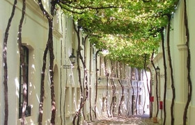 Sefrou and bhalil day trip from fez