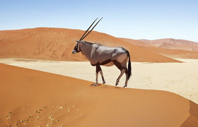 3 days sossusvlei safari (lodging) namibia
