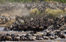 10 days 9 nights top tanzania luxury safari tour
