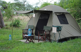 13 days spectacular safari in north west district botswana