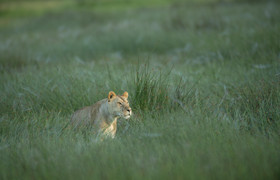 2-day tarangire & ngorongoro safari from zanzibar