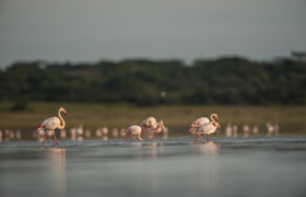 3-day classic tanzania safari: tarangire & ngorongoro
