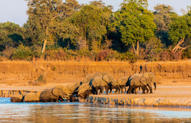 4 day south luangwa national park budget safari