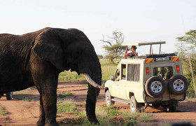 4 days tanzania adventure safari