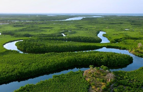 Visiter le delta du saloum