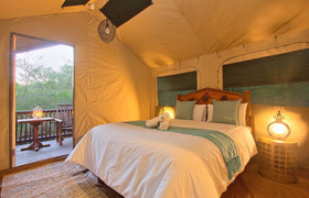 African adventour - its all about the safari 