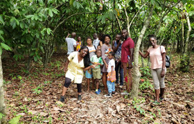 Au cœur de la filière cacao